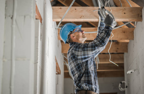 Best Electric Panel Repair  in Highwood, IL